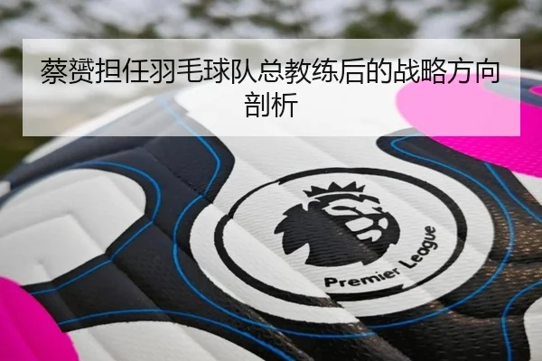 蔡赟担任羽毛球队总教练后的战略方向剖析